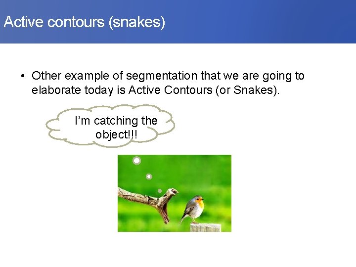 Active contours (snakes) • Other example of segmentation that we are going to elaborate