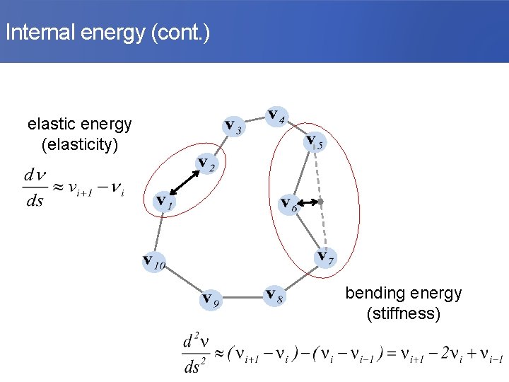 Internal energy (cont. ) elastic energy (elasticity) bending energy (stiffness) 