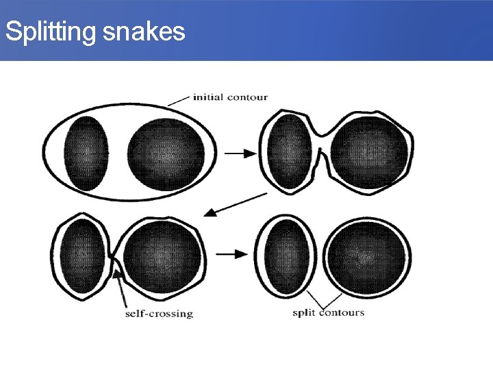 Splitting snakes 