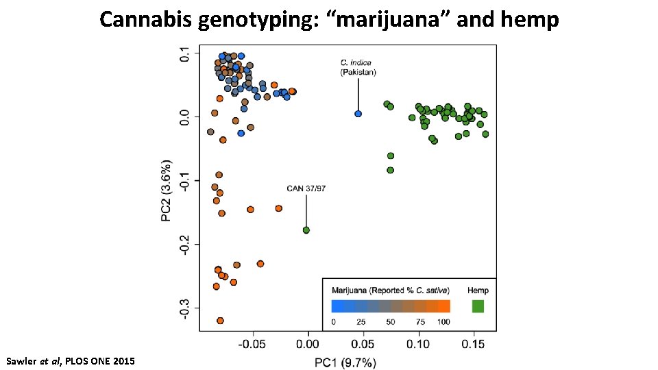 Cannabis genotyping: “marijuana” and hemp Sawler et al, PLOS ONE 2015 