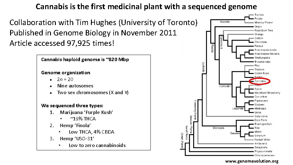 Cannabis is the first medicinal plant with a sequenced genome Collaboration with Tim Hughes