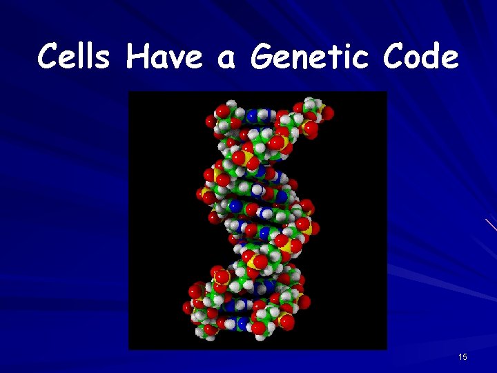 Cells Have a Genetic Code 15 