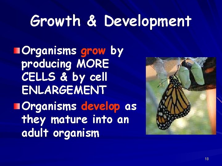 Growth & Development Organisms grow by producing MORE CELLS & by cell ENLARGEMENT Organisms