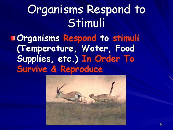 Organisms Respond to Stimuli Organisms Respond to stimuli (Temperature, Water, Food Supplies, etc. )