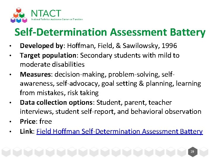 Self-Determination Assessment Battery • • • Developed by: Hoffman, Field, & Sawilowsky, 1996 Target