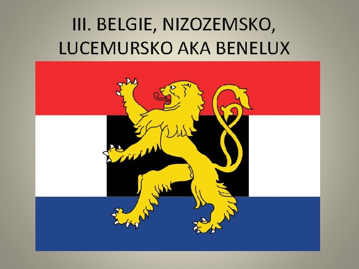 III. BELGIE, NIZOZEMSKO, LUCEMURSKO AKA BENELUX 