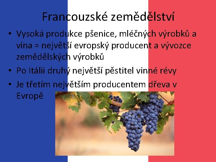 Francouzské zemědělství • Vysoká produkce pšenice, mléčných výrobků a vína = největší evropský producent