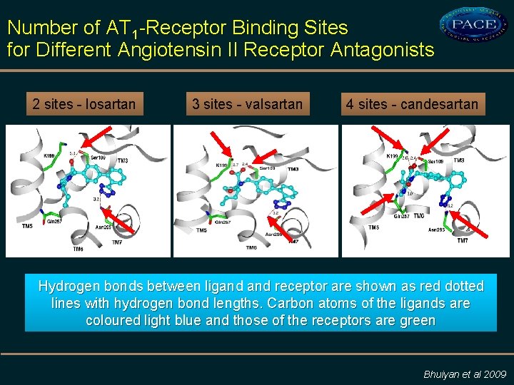 Number of AT 1 -Receptor Binding Sites for Different Angiotensin II Receptor Antagonists 2
