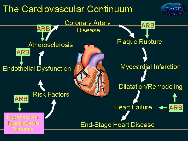 The Cardiovascular Continuum ARB Coronary Artery Disease Atherosclerosis ARB Endothelial Dysfunction ARB Plaque Rupture
