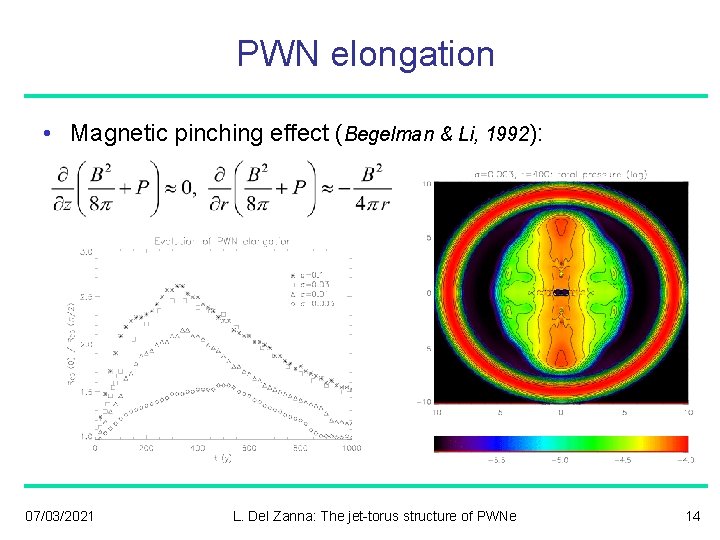 PWN elongation • Magnetic pinching effect (Begelman & Li, 1992): 07/03/2021 L. Del Zanna: