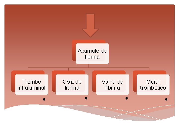 Acúmulo de fibrina Trombo intraluminal Cola de fibrina Vaina de fibrina Mural trombótico 