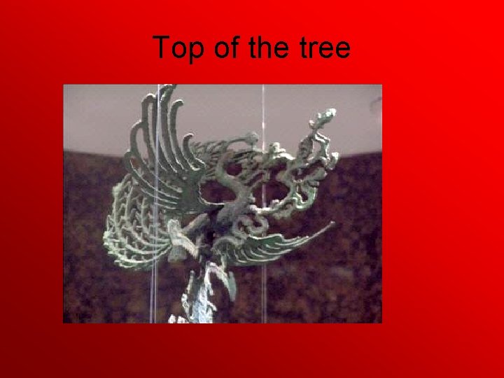 Top of the tree 