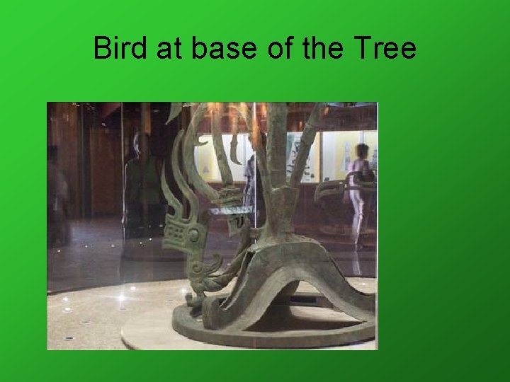 Bird at base of the Tree 