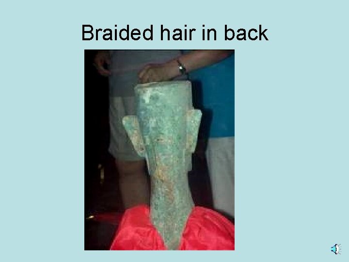 Braided hair in back 