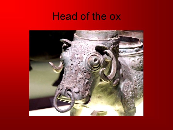 Head of the ox 