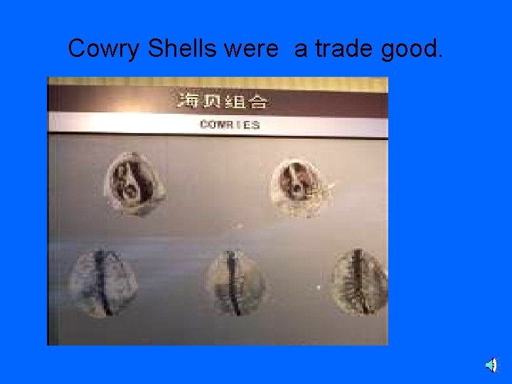 Cowry Shells were a trade good. 