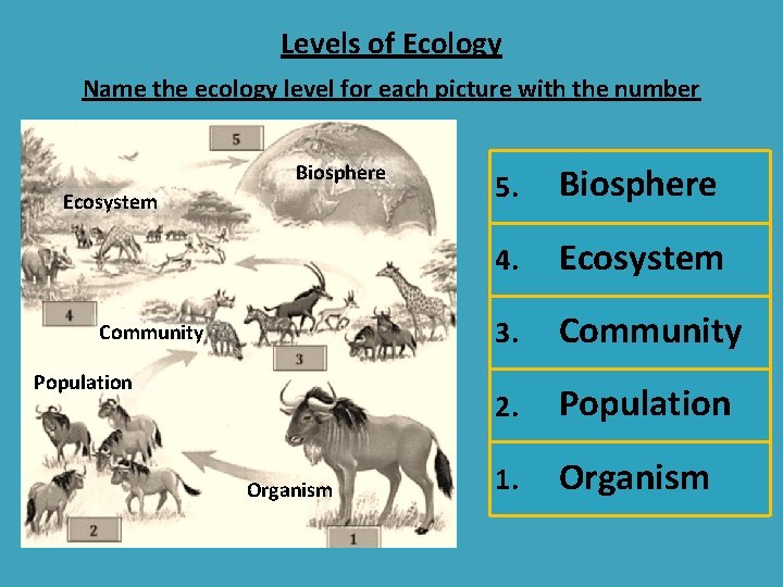 Levels of Ecology Name the ecology level for each picture with the number Biosphere