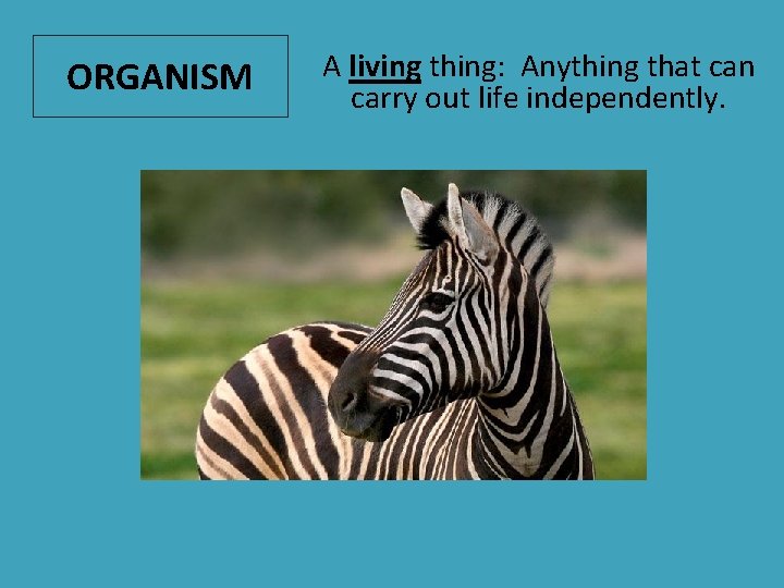 ORGANISM A living thing: Anything that can carry out life independently. 