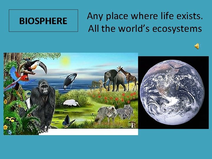 BIOSPHERE Any place where life exists. All the world’s ecosystems 