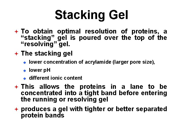 Lab 5 d SDSPAGE Electrophoresis Separates molecules based