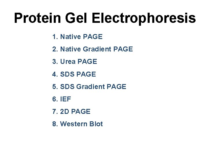 Protein Gel Electrophoresis 1. Native PAGE 2. Native Gradient PAGE 3. Urea PAGE 4.