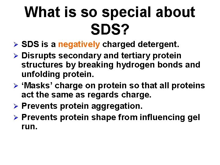 What is so special about SDS? Ø Ø Ø SDS is a negatively charged