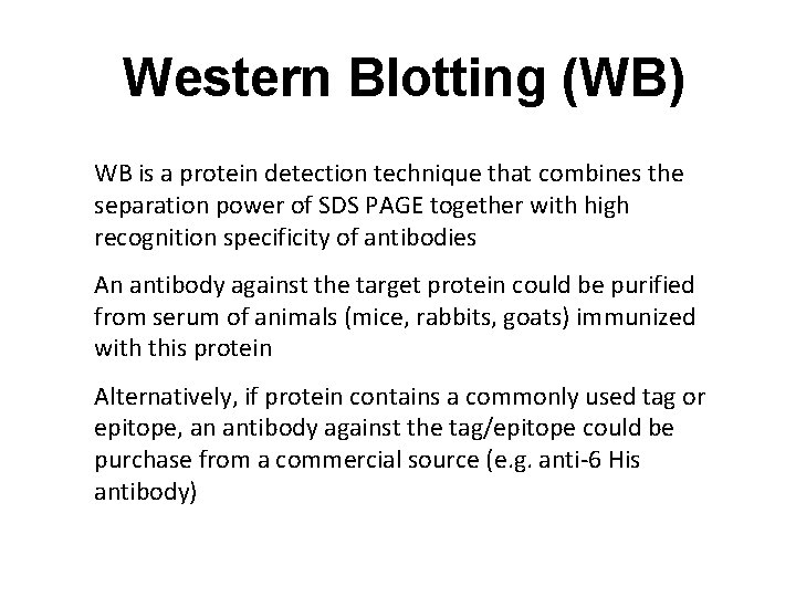 Western Blotting (WB) WB is a protein detection technique that combines the separation power