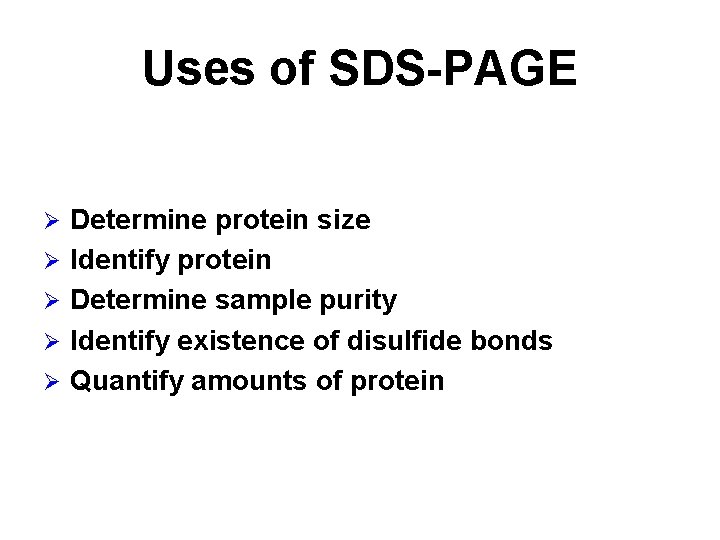 Uses of SDS-PAGE Ø Ø Ø Determine protein size Identify protein Determine sample purity