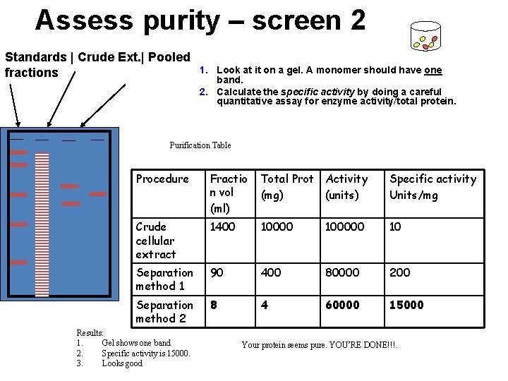 Assess purity – screen 2 Standards | Crude Ext. | Pooled 1. fractions Look