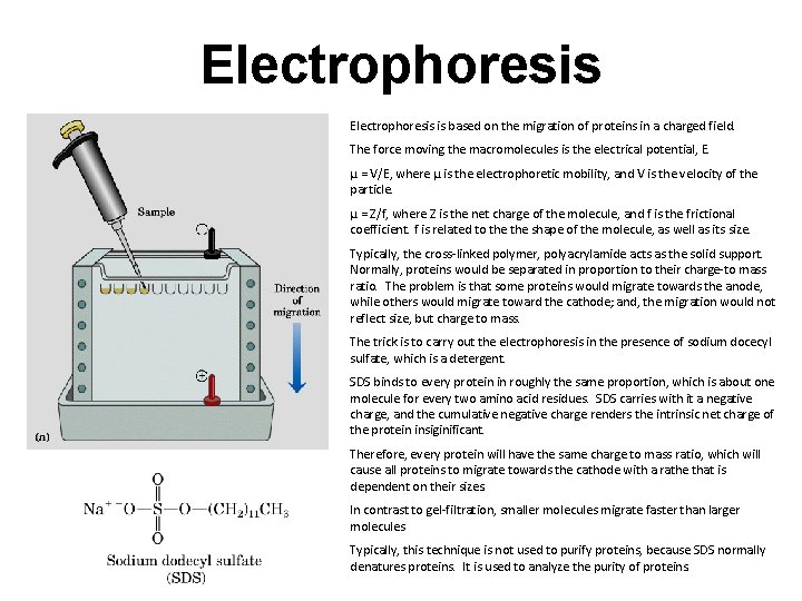 Electrophoresis is based on the migration of proteins in a charged field. The force