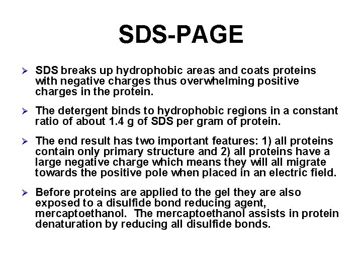 Lab 5 d SDSPAGE Electrophoresis Separates molecules based