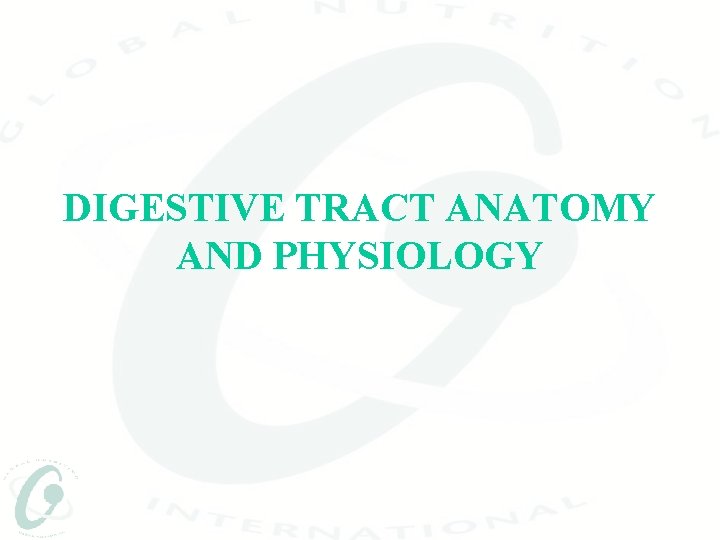 DIGESTIVE TRACT ANATOMY AND PHYSIOLOGY 