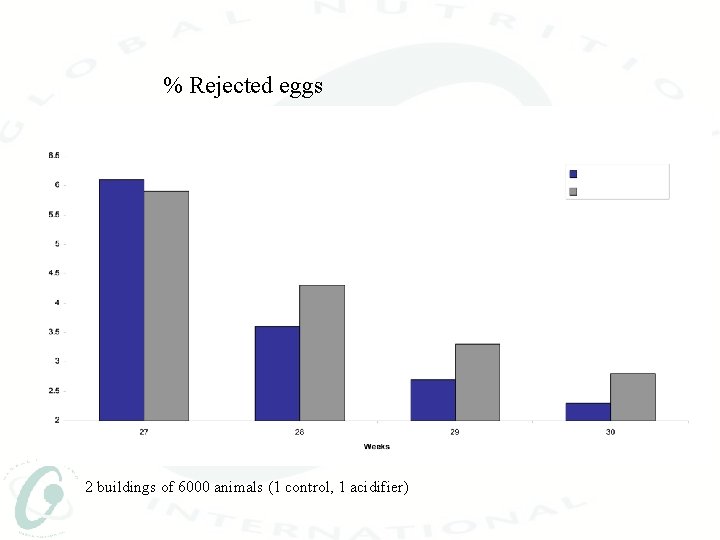 % Rejected eggs Layers hen (repro) 2 buildings of 6000 animals (1 control, 1