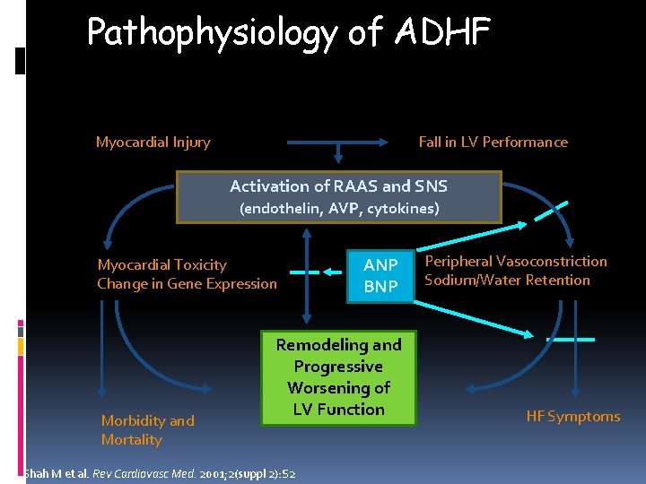 Pathophysiology of ADHF Myocardial Injury Fall in LV Performance Activation of RAAS and SNS