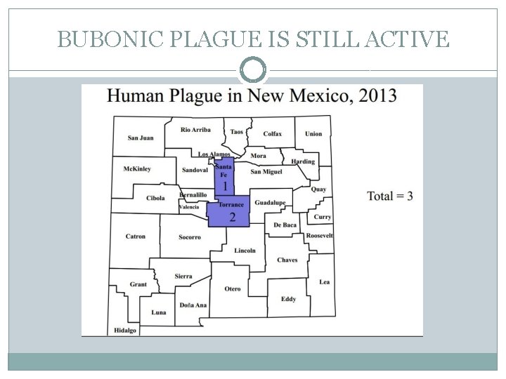 BUBONIC PLAGUE IS STILL ACTIVE 