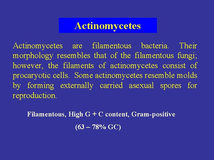 Actinomycetes are filamentous bacteria. Their morphology resembles that of the filamentous fungi; however, the