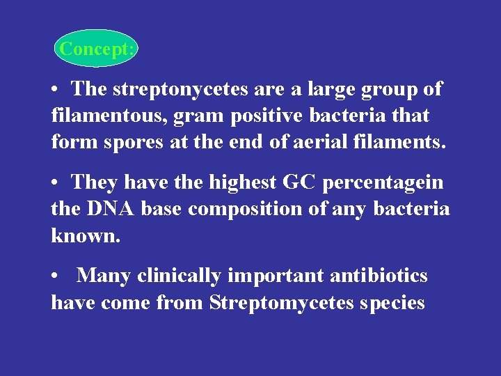 Concept: • The streptonycetes are a large group of filamentous, gram positive bacteria that