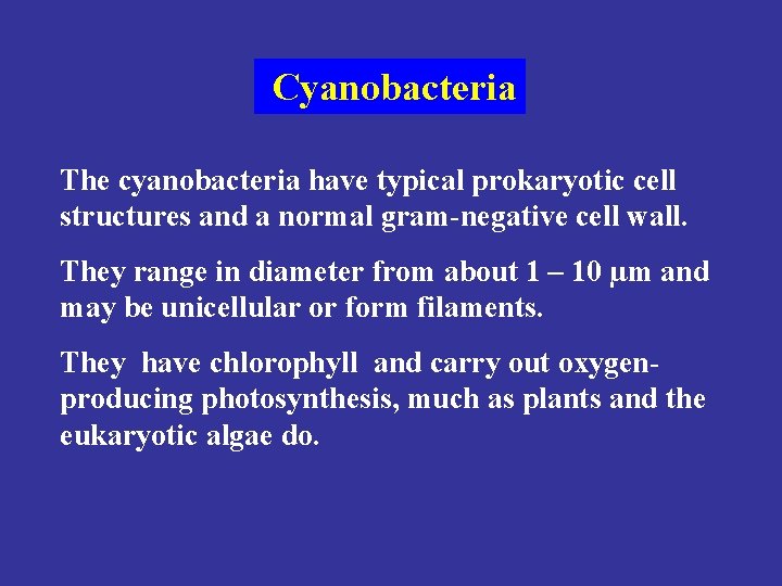Cyanobacteria The cyanobacteria have typical prokaryotic cell structures and a normal gram-negative cell wall.