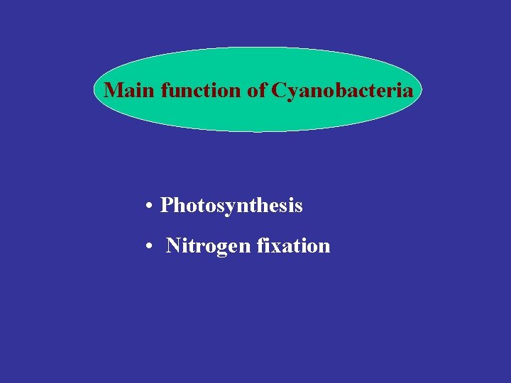 Main function of Cyanobacteria • Photosynthesis • Nitrogen fixation 