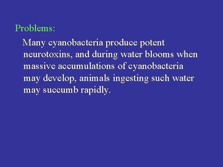 Problems: Many cyanobacteria produce potent neurotoxins, and during water blooms when massive accumulations of