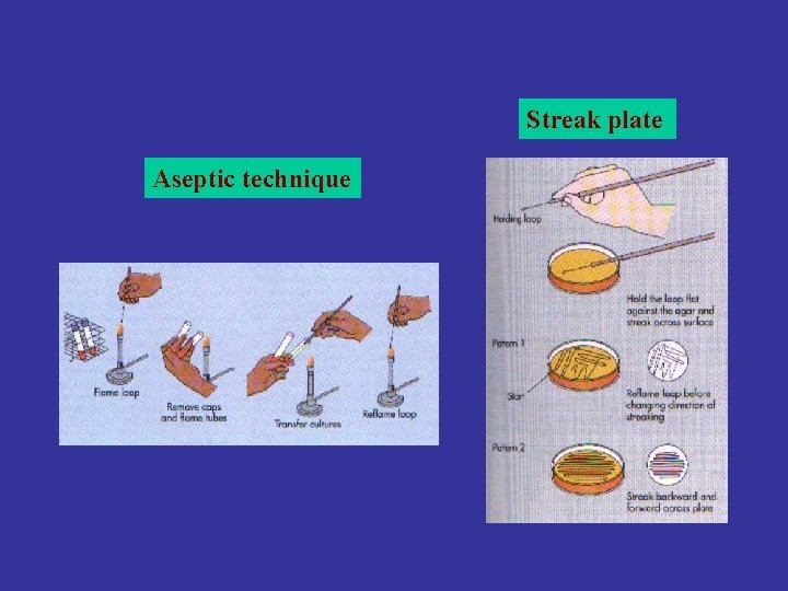 Streak plate Aseptic technique 