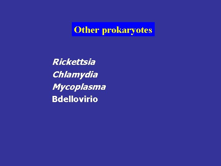 Other prokaryotes Rickettsia Chlamydia Mycoplasma Bdellovirio 