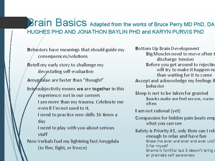Brain Basics Adapted from the works of Bruce Perry MD Ph. D, DAN HUGHES