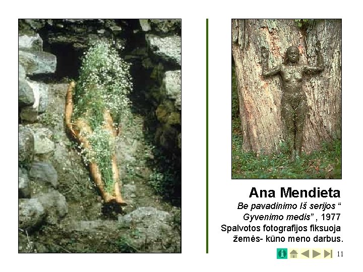 Ana Mendieta Be pavadinimo Iš serijos “ Gyvenimo medis” , 1977 Spalvotos fotografijos fiksuoja