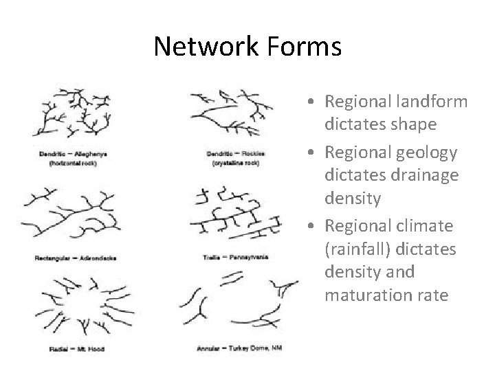 Network Forms • Regional landform dictates shape • Regional geology dictates drainage density •