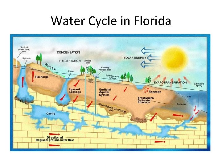 Water Cycle in Florida 