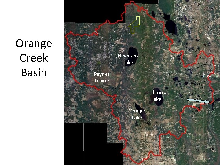 Orange Creek Basin Newnans Lake Paynes Prairie Lochloosa Lake Orange Lake 