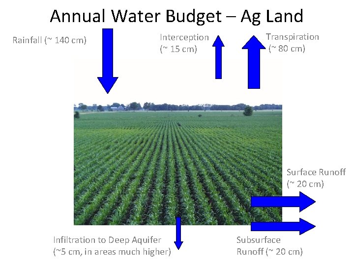 Annual Water Budget – Ag Land Rainfall (~ 140 cm) Interception (~ 15 cm)