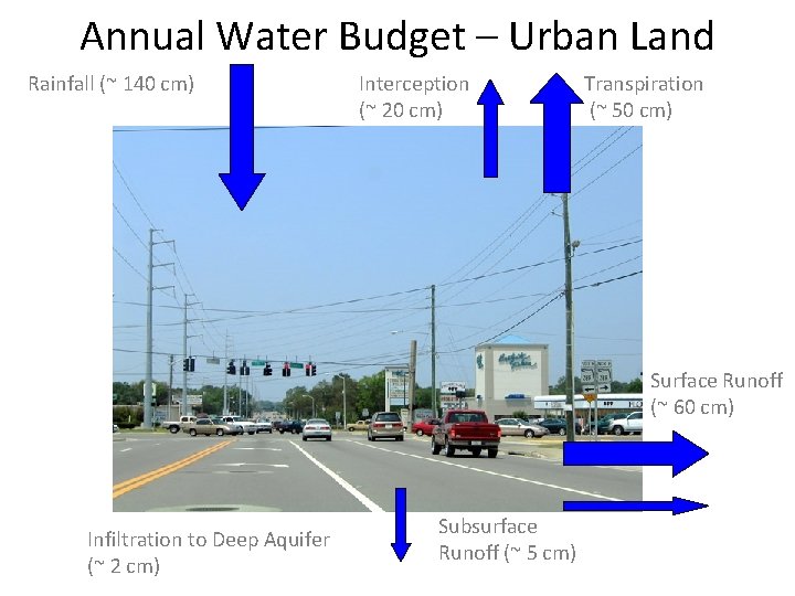 Annual Water Budget – Urban Land Rainfall (~ 140 cm) Interception (~ 20 cm)