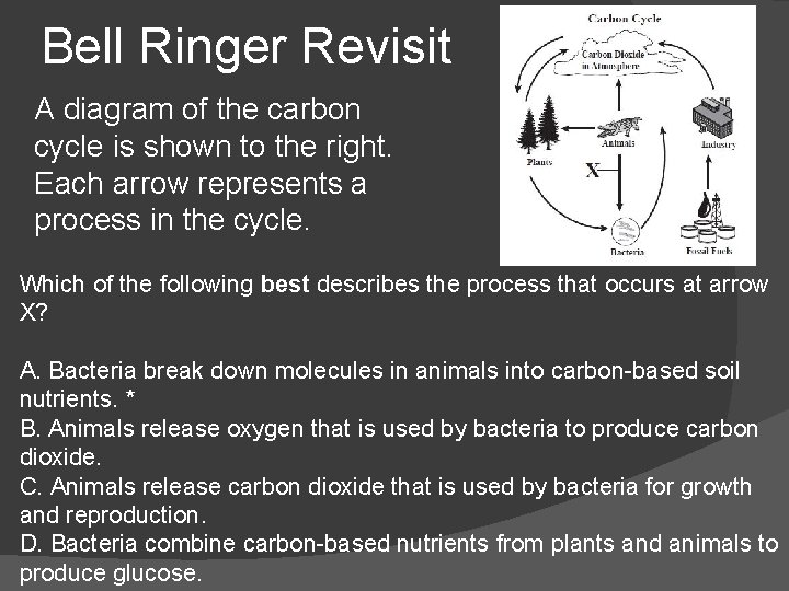 Bell Ringer Revisit A diagram of the carbon cycle is shown to the right.